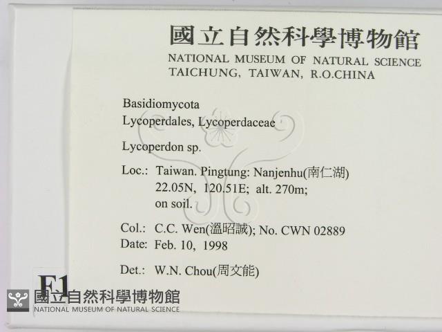 登錄號:F0010714藏品圖，第2張