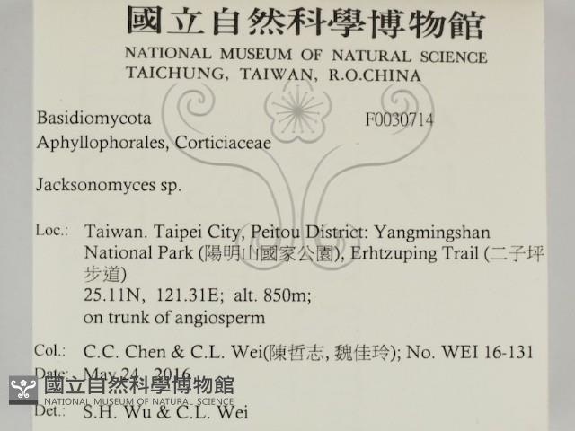 傑克菌屬藏品圖，第2張