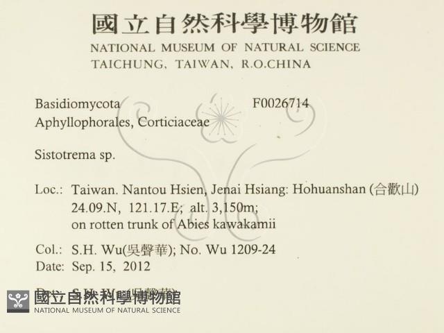 登錄號:F0026714藏品圖，第2張