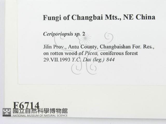 登錄號:F0006714藏品圖，第2張