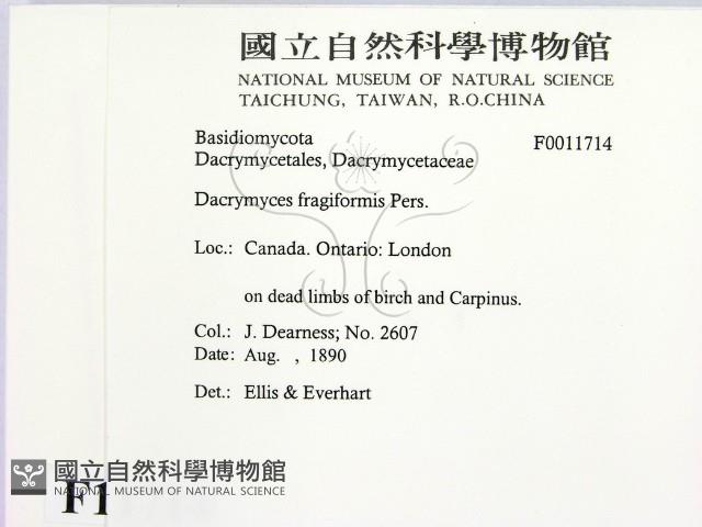 登錄號:F0011714藏品圖，第2張