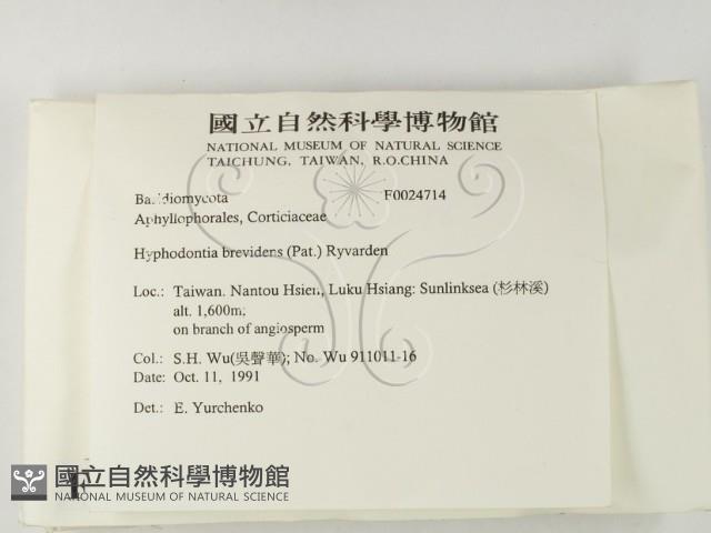 登錄號:F0024714藏品圖，第2張
