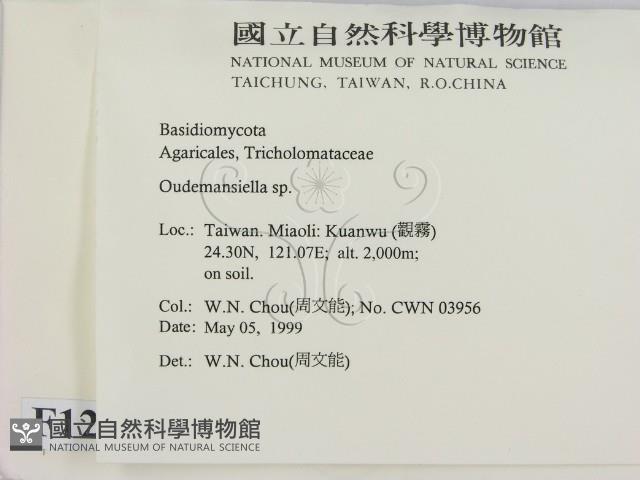 登錄號:F0012714藏品圖，第2張