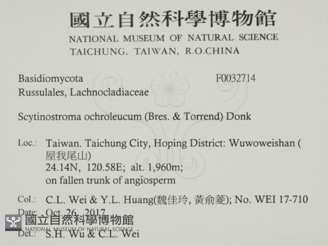 登錄號:F0032714藏品圖，第2張