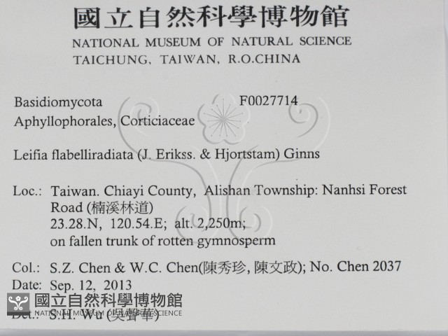 登錄號:F0027714藏品圖，第2張
