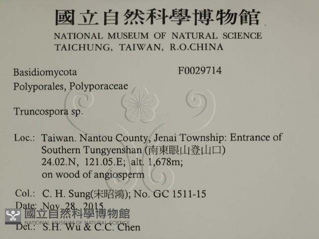 登錄號:F0029714藏品圖，第2張