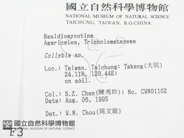 登錄號:F0003714藏品圖，第2張