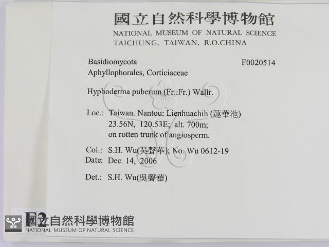 登錄號:F0020514藏品圖，第2張