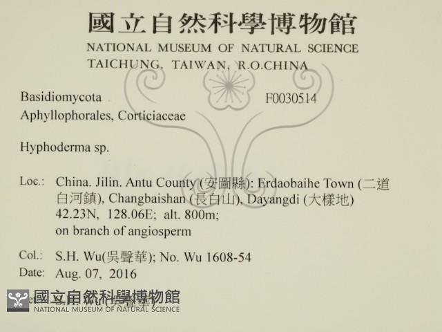 絲皮菌屬藏品圖，第2張