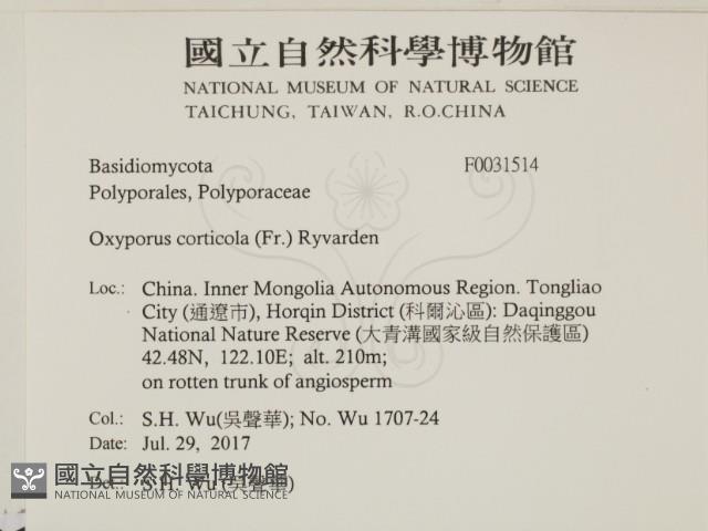 登錄號:F0031514藏品圖，第2張