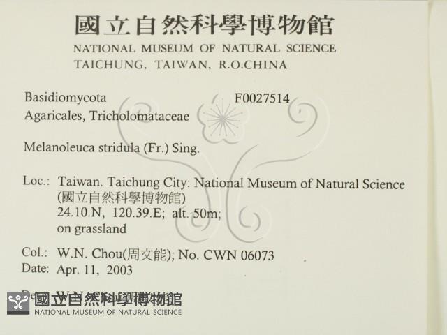 登錄號:F0027514藏品圖，第2張