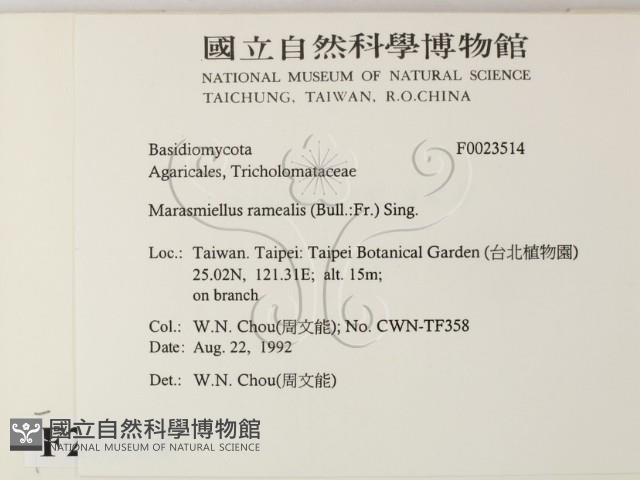 登錄號:F0023514藏品圖，第2張