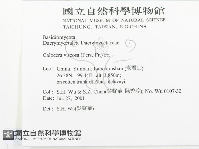 登錄號:F0013514藏品圖，第2張