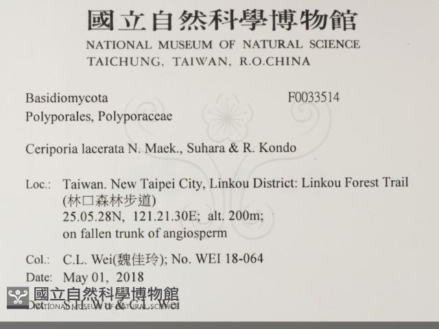 登錄號:F0033514藏品圖，第2張