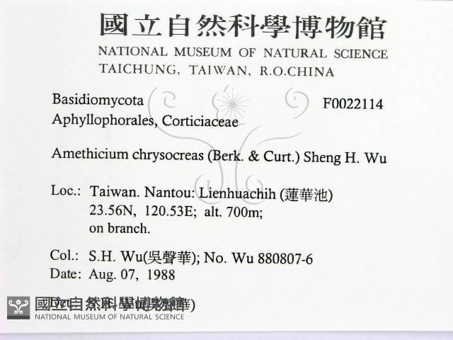 登錄號:F0022114藏品圖，第2張