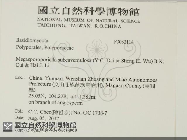 登錄號:F0032114藏品圖，第2張