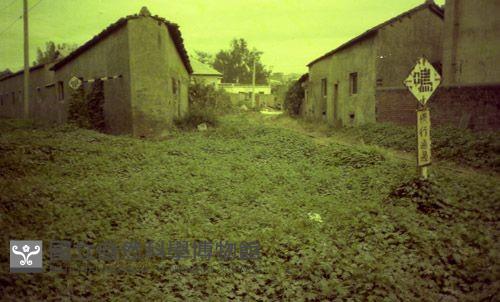 1950至2006年臺灣常民生活藏品圖，第1張