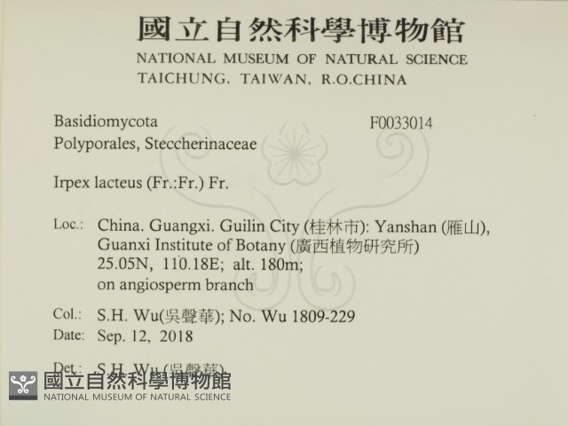 登錄號:F0033014藏品圖，第2張
