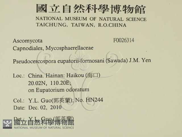 登錄號:F0026314藏品圖，第2張