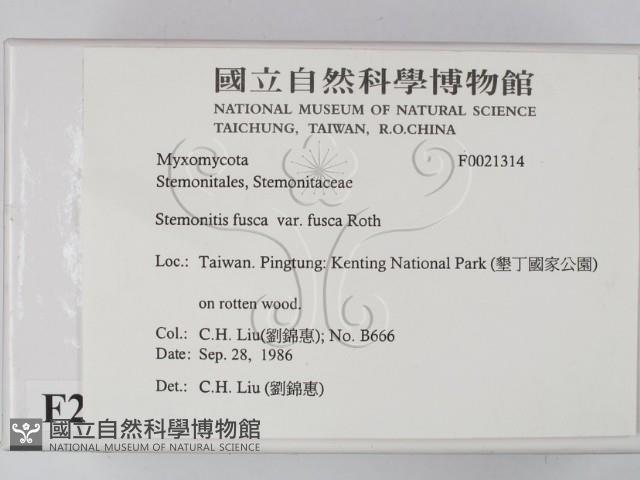 登錄號:F0021314藏品圖，第2張