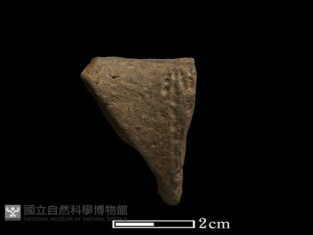 陶片藏品圖，第2張