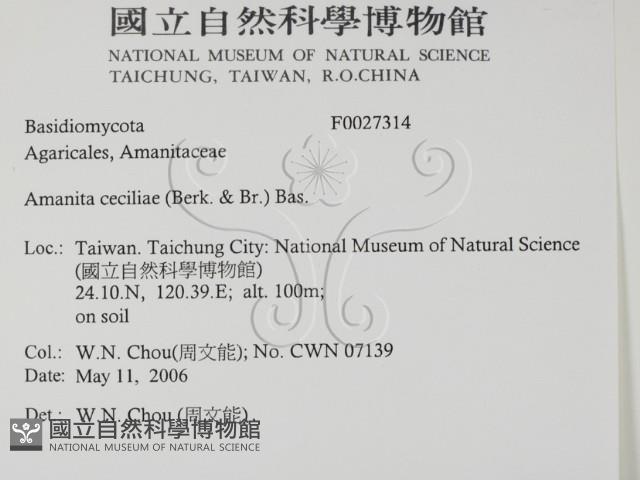 登錄號:F0027314藏品圖，第2張