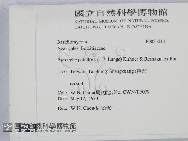登錄號:F0023314藏品圖，第2張