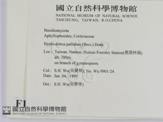 登錄號:F0010254藏品圖，第2張