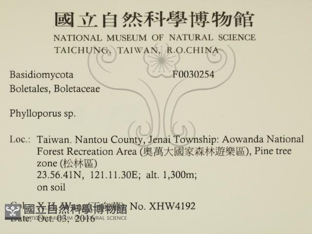 登錄號:F0030254藏品圖，第2張