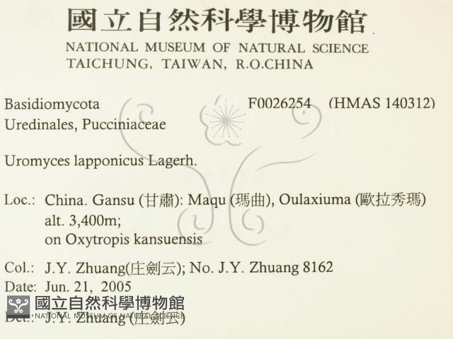 登錄號:F0026254藏品圖，第2張