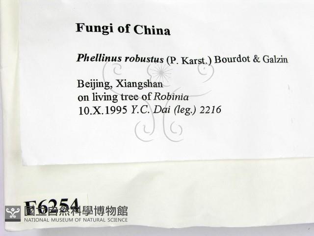 登錄號:F0006254藏品圖，第2張