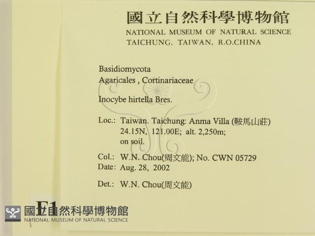 登錄號:F0016254藏品圖，第2張