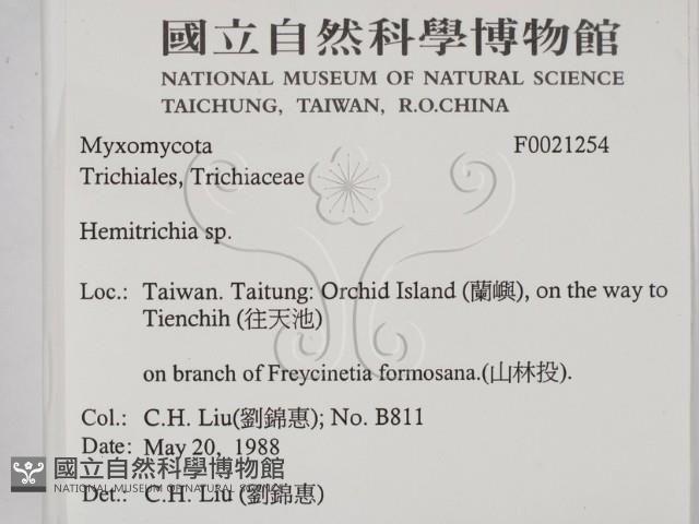 登錄號:F0021254藏品圖，第2張