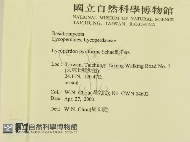 登錄號:F0014254藏品圖，第2張