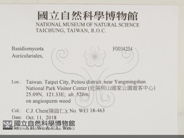 登錄號:F0034254藏品圖，第2張