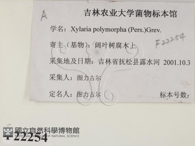 登錄號:F0022254藏品圖，第2張