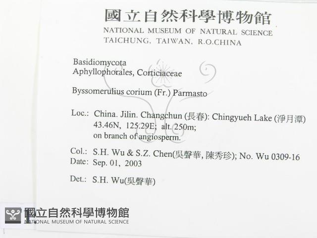 登錄號:F0015254藏品圖，第2張