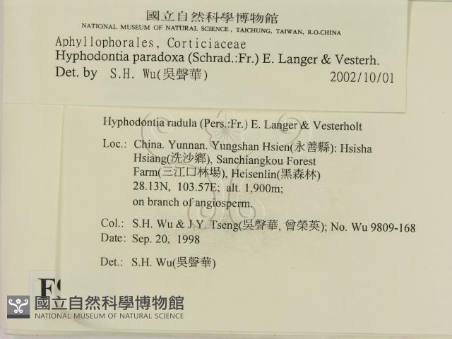 登錄號:F0009254藏品圖，第2張