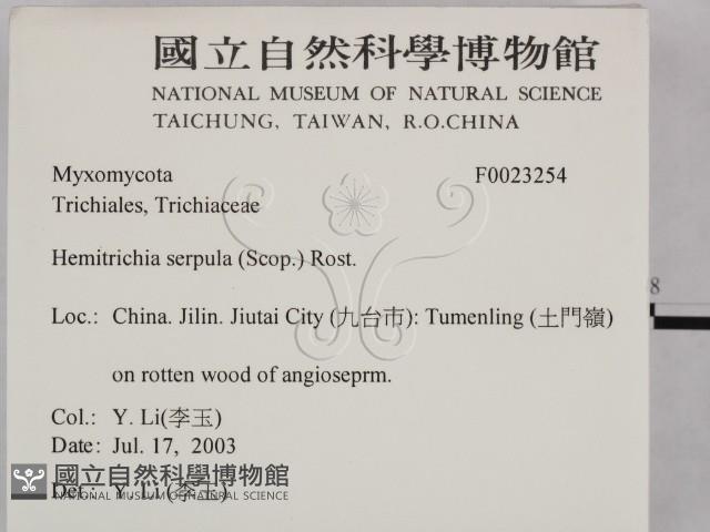 登錄號:F0023254藏品圖，第2張