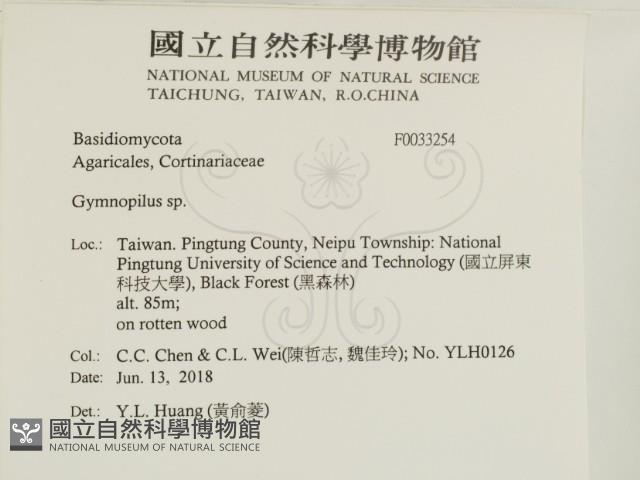 登錄號:F0033254藏品圖，第2張