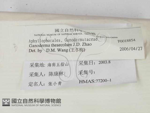 登錄號:F0018854藏品圖，第2張