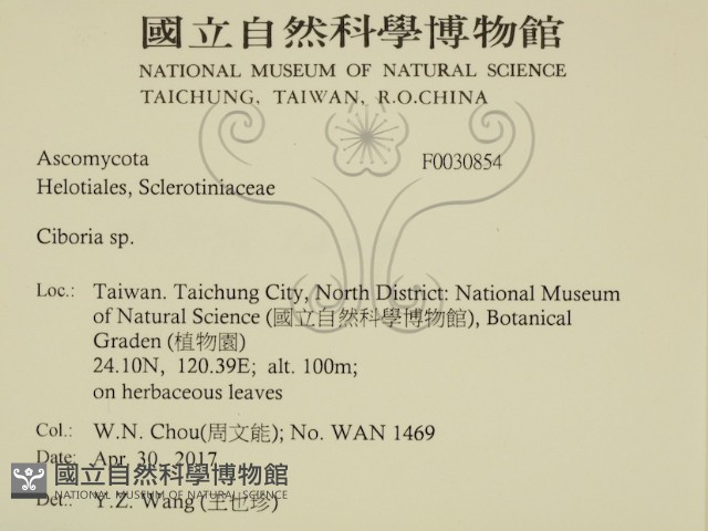 登錄號:F0030854藏品圖，第2張