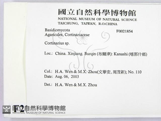 登錄號:F0021854藏品圖，第2張