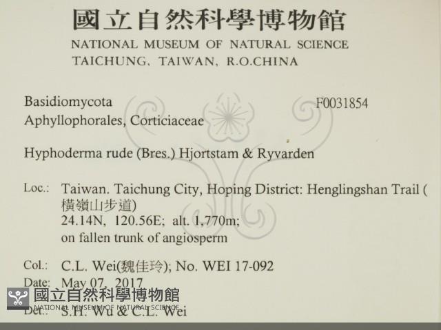 登錄號:F0031854藏品圖，第2張