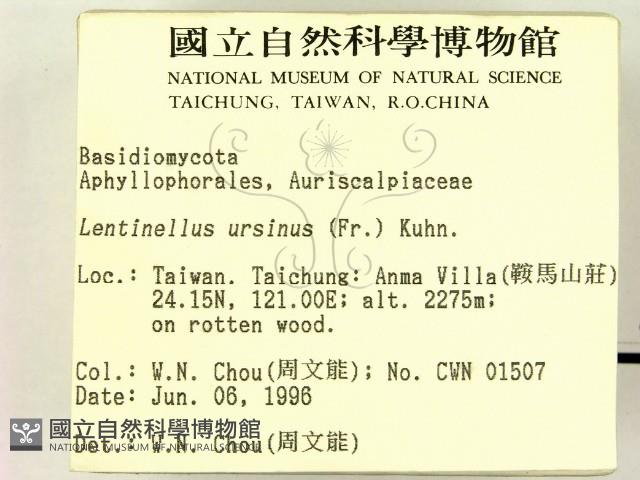 登錄號:F0004854藏品圖，第2張