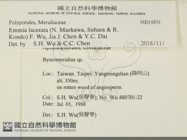 登錄號:F0014854藏品圖，第2張