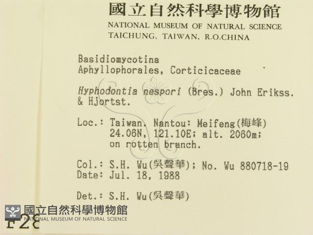 登錄號:F0002854藏品圖，第2張
