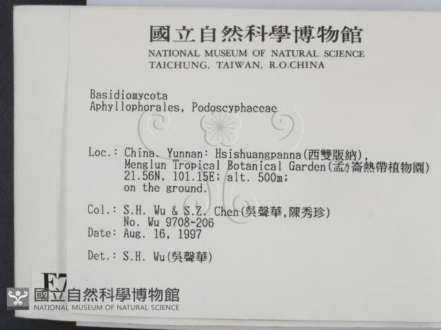 登錄號:F0007854藏品圖，第2張