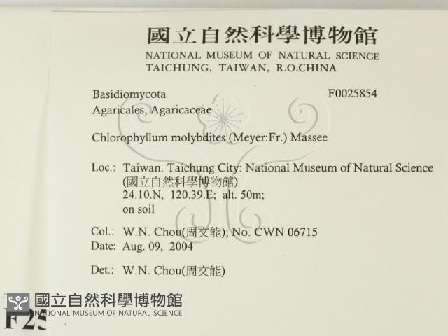 登錄號:F0025854藏品圖，第2張