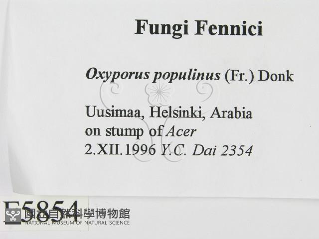 登錄號:F0005854藏品圖，第2張